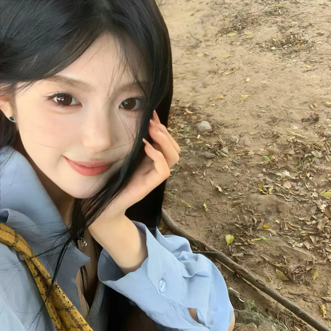 动物管制官第三季